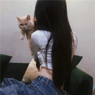 商务伴游服务中的语言沟通与文化交流